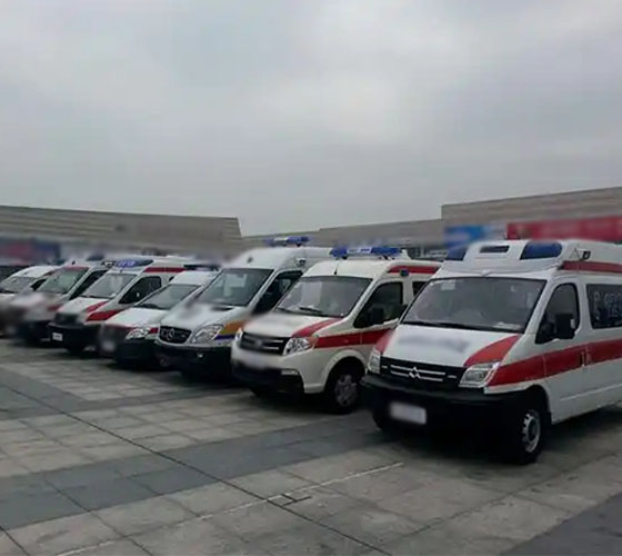 大理服务车队展示