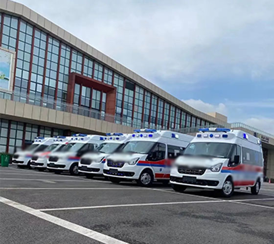 大理服务车队展示